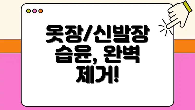 옷장/신발장 습윤, 완벽 제거!