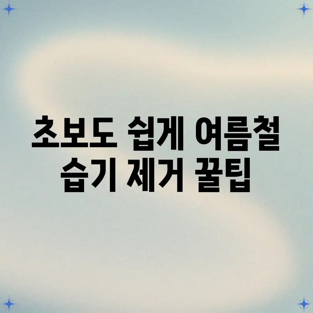 초보도 쉽게! 여름철 습기 제거 꿀팁 초보도 쉽게! 여름철 습기 제거 꿀팁