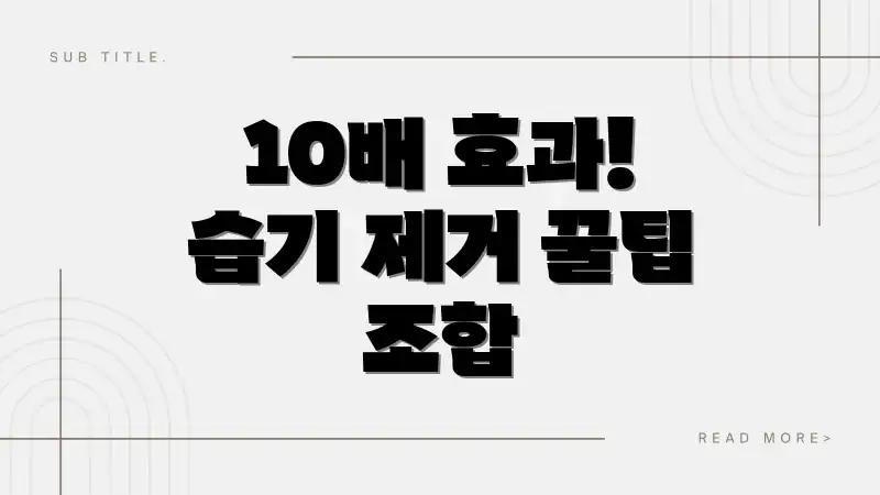 10배 효과! 습기 제거 꿀팁 조합