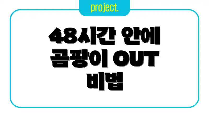 48시간 안에 곰팡이 OUT 비법