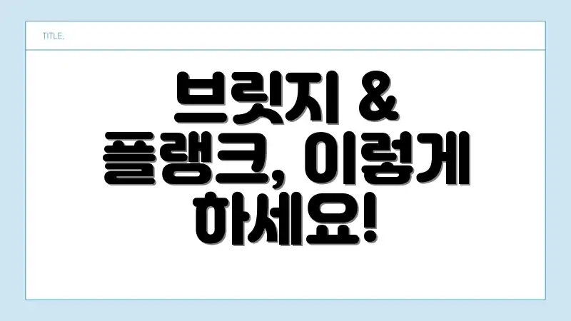 브릿지 & 플랭크, 이렇게 하세요!