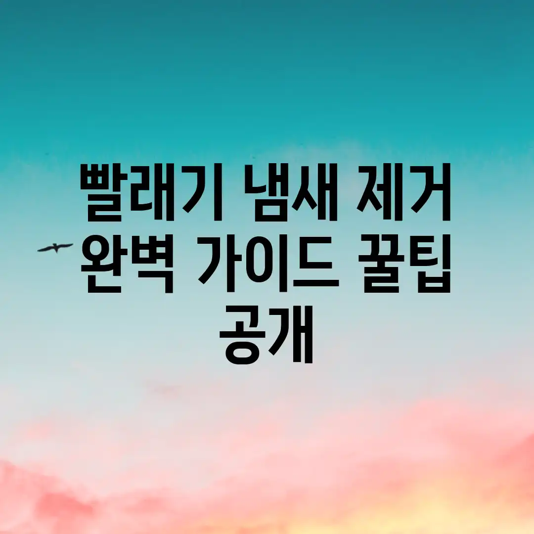 빨래기 냄새 제거 완벽 가이드: 꿀팁 공개! 빨래기 냄새 제거 완벽 가이드: 꿀팁 공개!