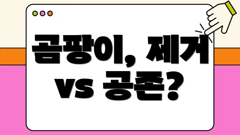 곰팡이, 제거 vs 공존?
