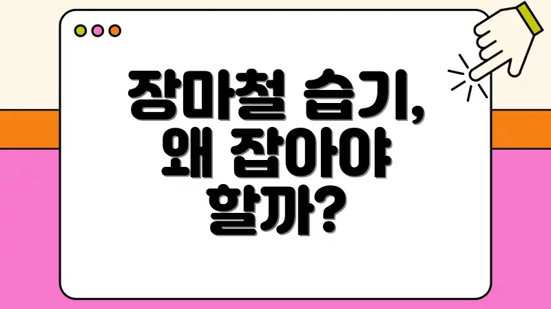 장마철 습기, 왜 잡아야 할까?