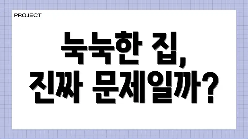 눅눅한 집, 진짜 문제일까?