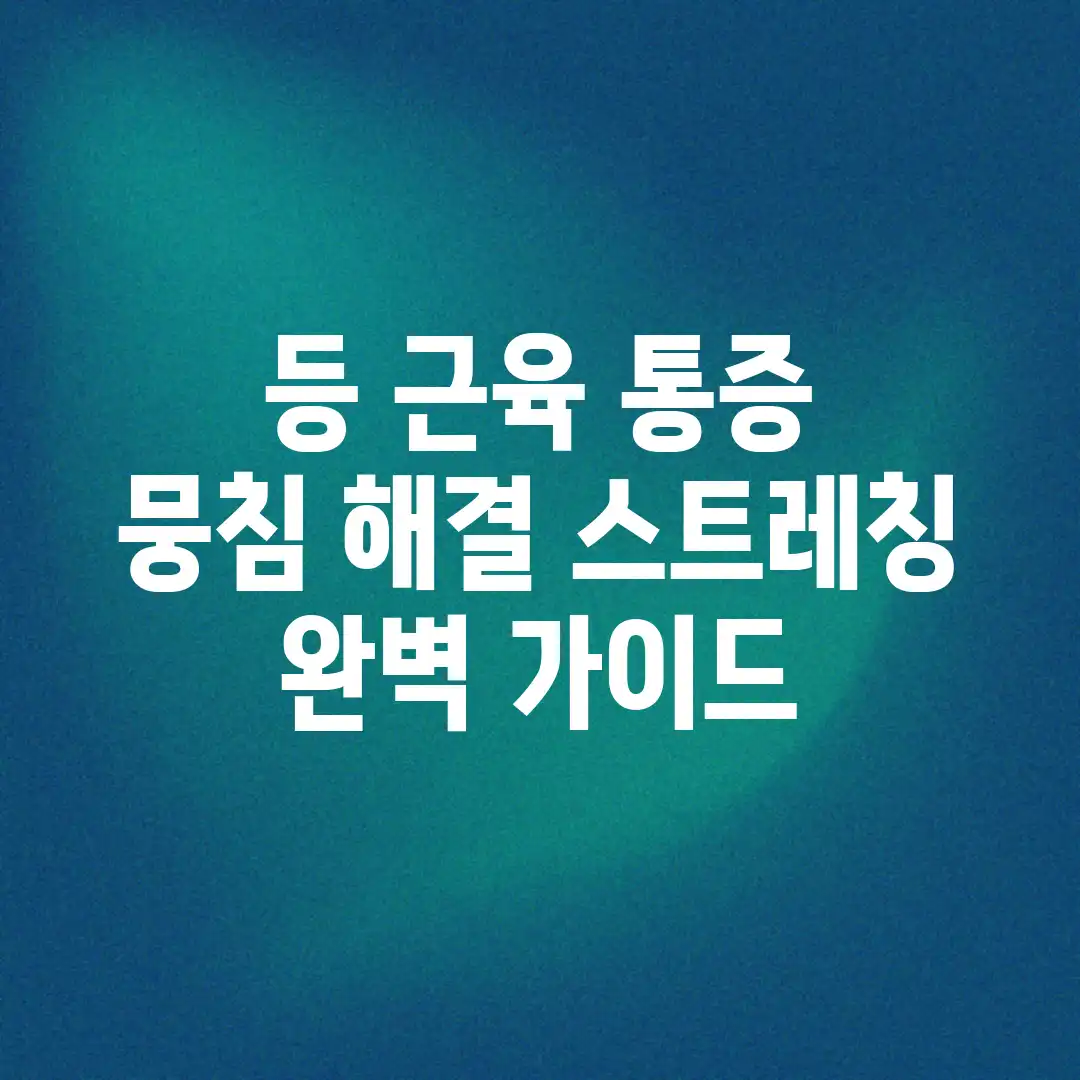 등 근육 통증 & 뭉침 해결 스트레칭 완벽 가이드 등 근육 통증 & 뭉침 해결 스트레칭 완벽 가이드
