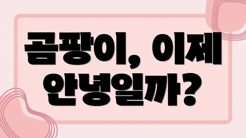 곰팡이, 이제 안녕일까?