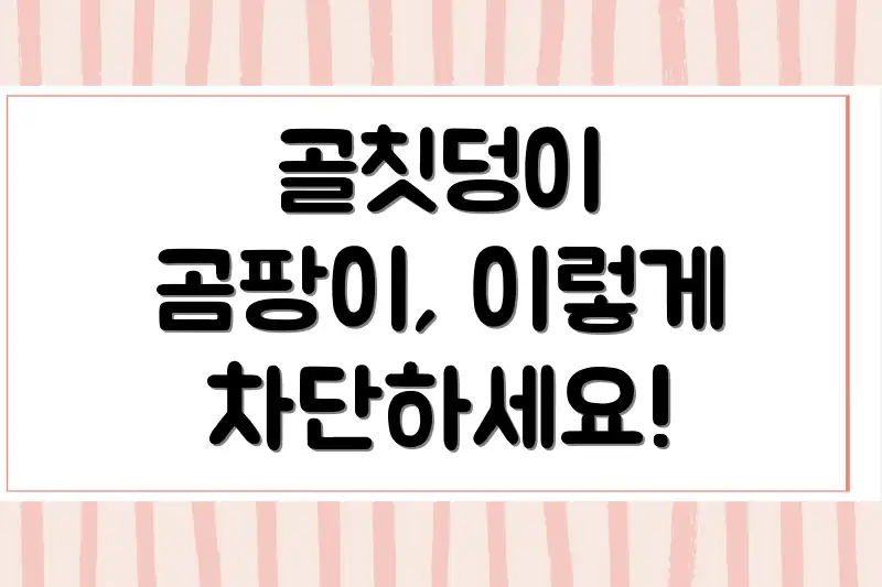 골칫덩이 곰팡이, 이렇게 차단하세요!