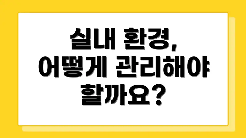실내 환경, 어떻게 관리해야 할까요?