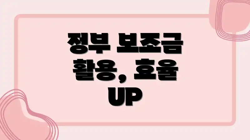 정부 보조금 활용, 효율 UP