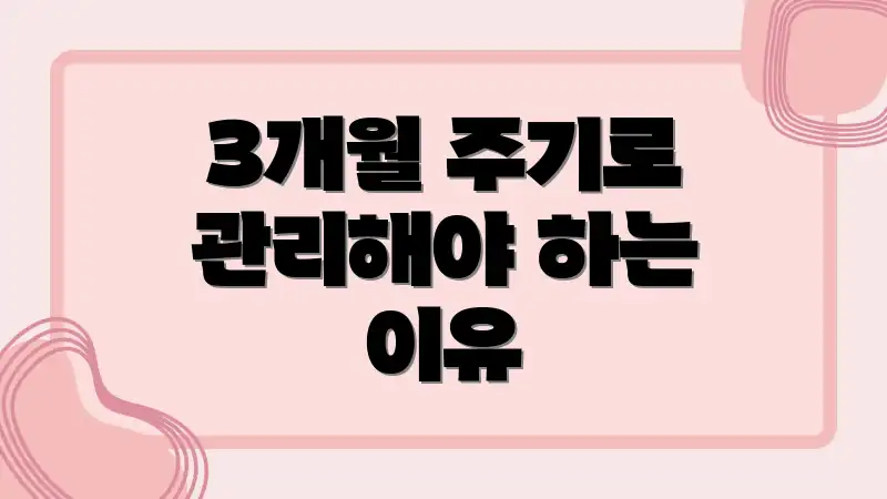 3개월 주기로 관리해야 하는 이유