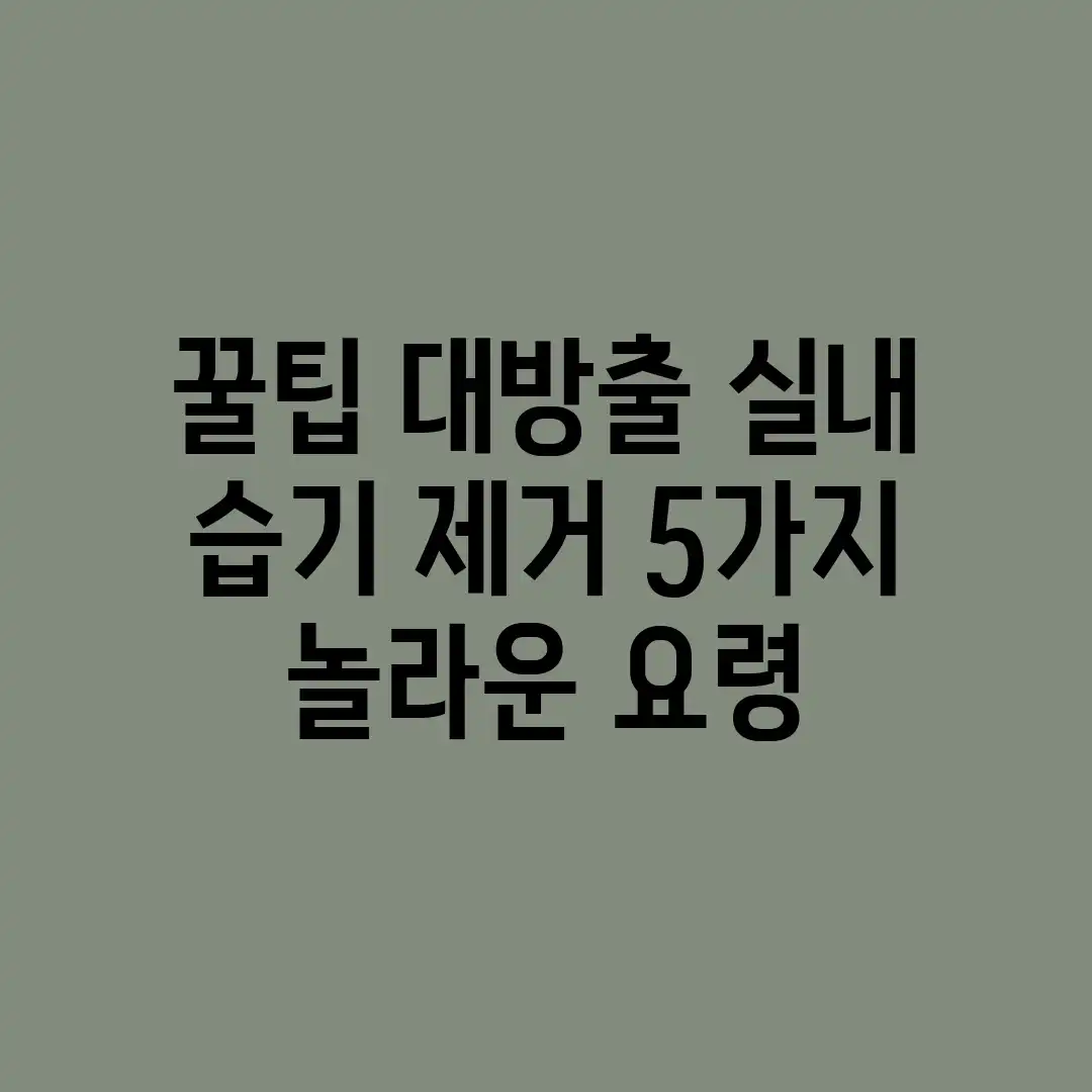 꿀팁 대방출! 실내 습기 제거, 5가지 놀라운 요령 꿀팁 대방출! 실내 습기 제거, 5가지 놀라운 요령