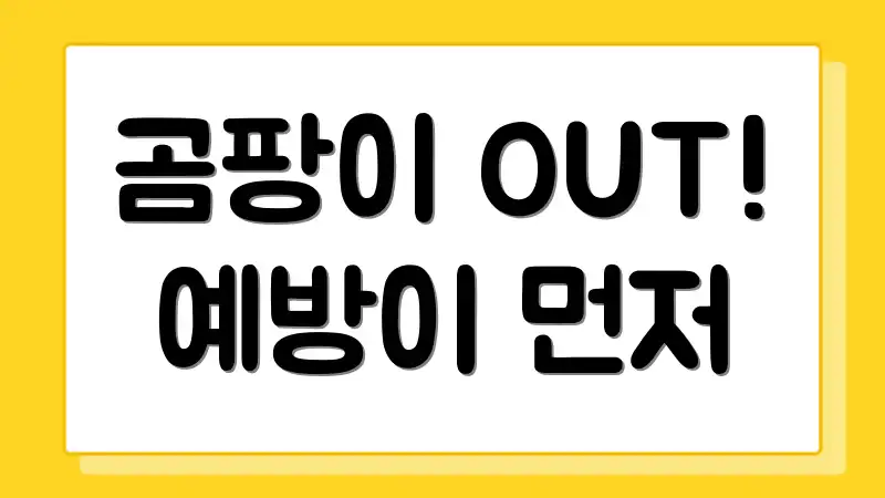 곰팡이 OUT! 예방이 먼저