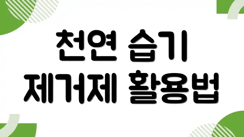 천연 습기 제거제 활용법