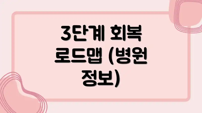 3단계 회복 로드맵 (병원 정보)