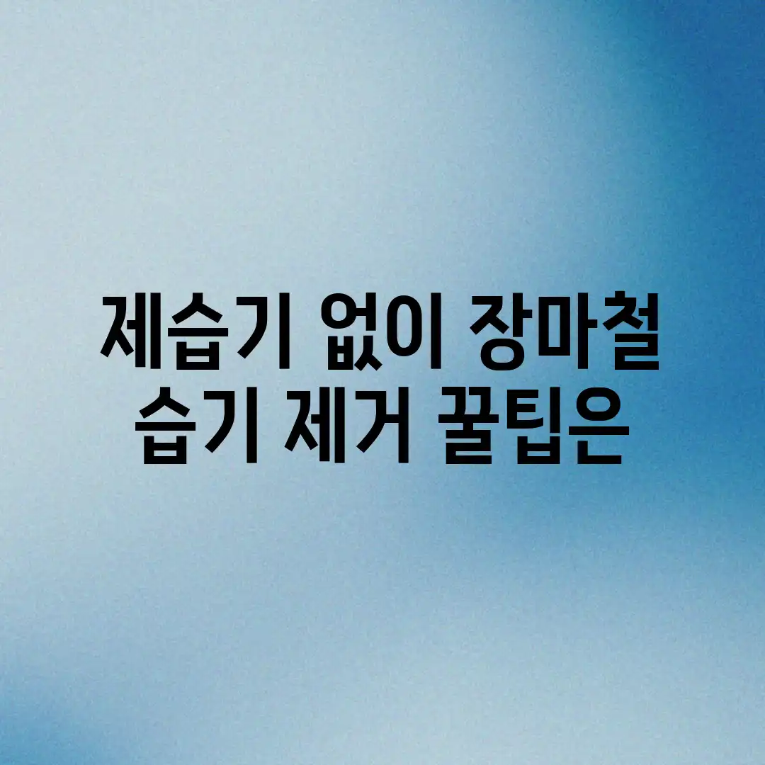 제습기 없이 장마철 습기 제거, 꿀팁은? 제습기 없이 장마철 습기 제거, 꿀팁은?