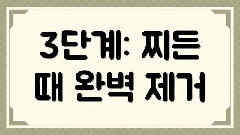 3단계: 찌든 때 완벽 제거