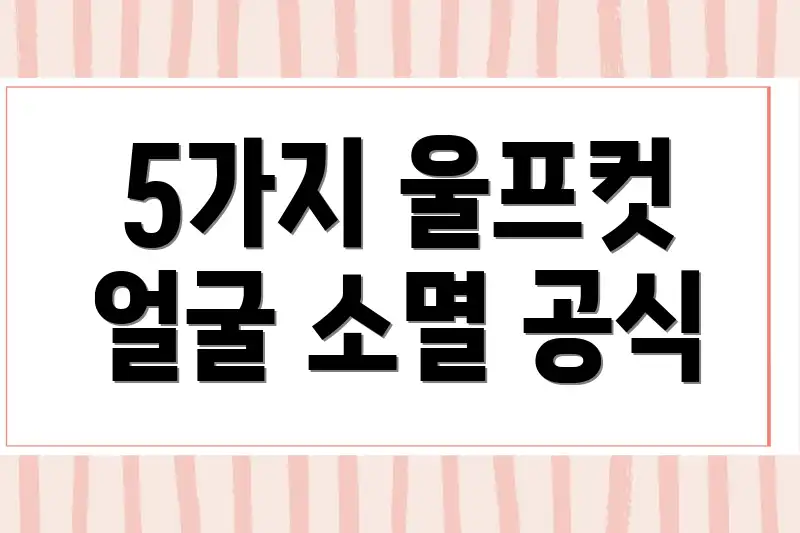 5가지 울프컷 얼굴 소멸 공식