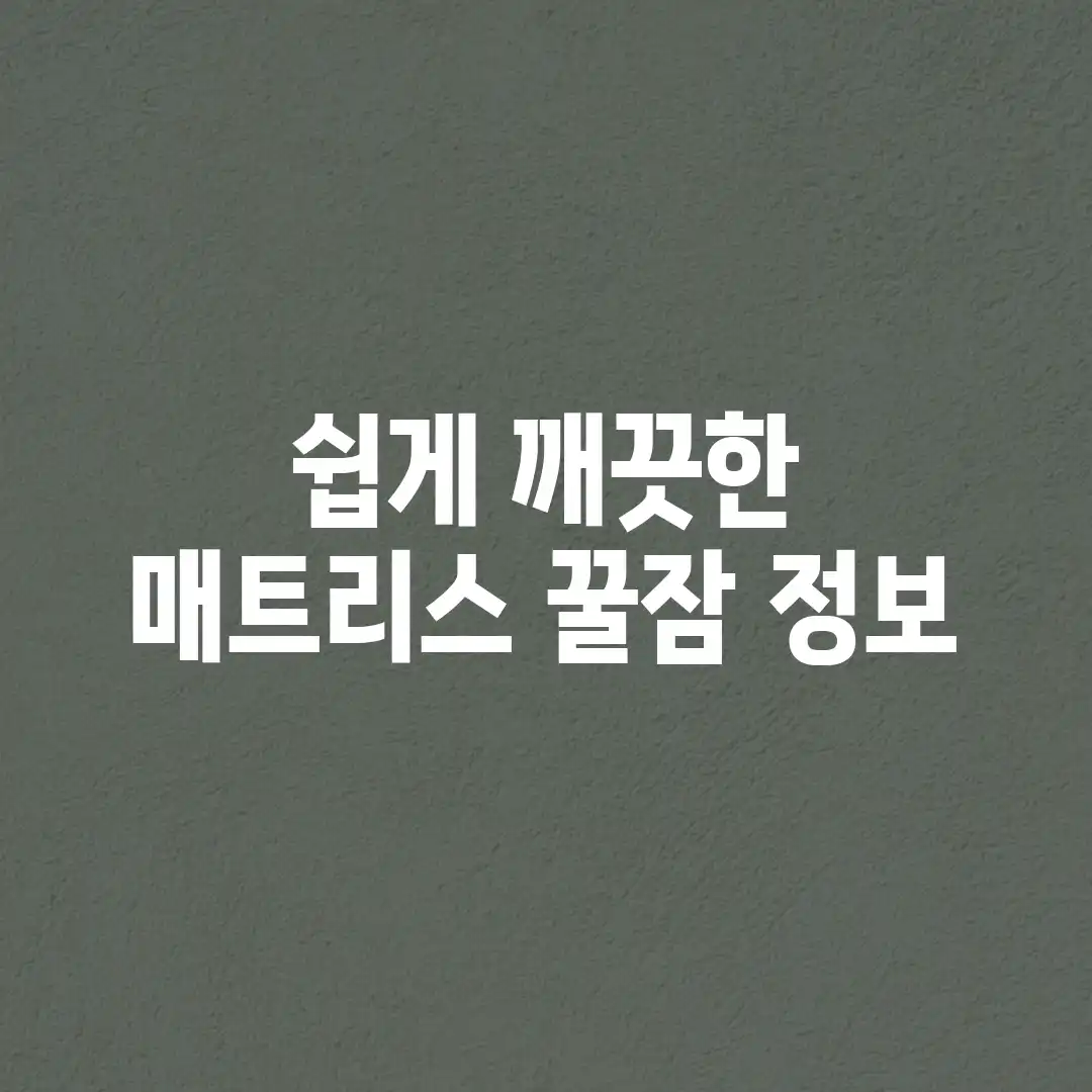쉽게! 깨끗한 매트리스 꿀잠 정보 쉽게! 깨끗한 매트리스 꿀잠 정보