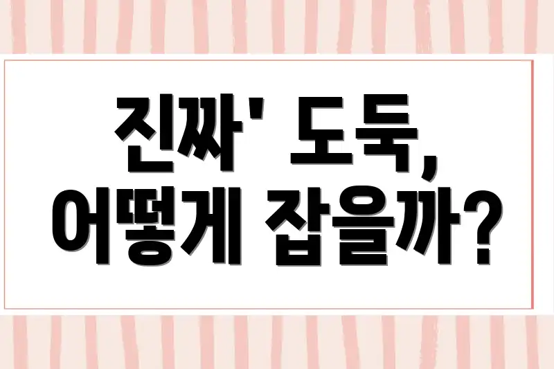 진짜' 도둑, 어떻게 잡을까?