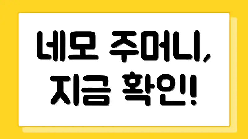 네모 주머니, 지금 확인!